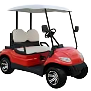 2 Seater Golf Cart